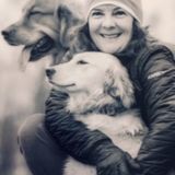 Oshawa Dog Walker and overnight care Looking For Being Hired