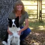 Let me help take some worry out of your day! I'll take care of the animals.