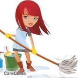 Dependable and Efficient Cleaning