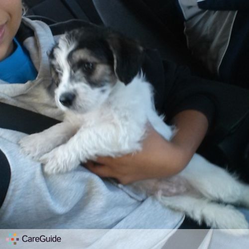 Pet Care Job Kylee Manyoma's Profile Picture