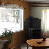 Needed: House and Plant Sitter and cat sitter