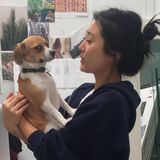 Pet Sitter Available Weekends!