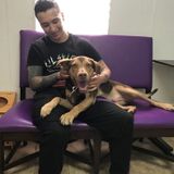 Army Veteran - Capable Pet Services Provider