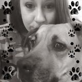 Loving Pet Sitter