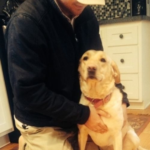 Pet Care Provider Brenton D's Profile Picture