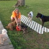 I am a Pet Sitter Pet Walker Pet Trainer Pet Caregiver