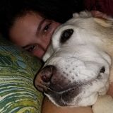 I love animals