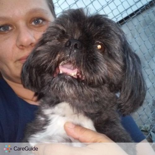 Pet Care Provider Julie N's Profile Picture