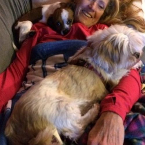 Pet Care Job Morgan McCool's Profile Picture