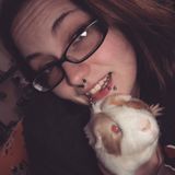 Dog walking and pet sitting in Middletown NY area!