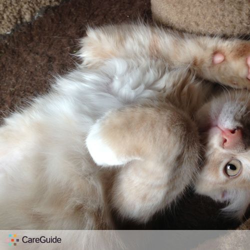 Pet Care Provider Laurie P's Profile Picture