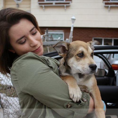 House Sitter Provider Ana P's Profile Picture