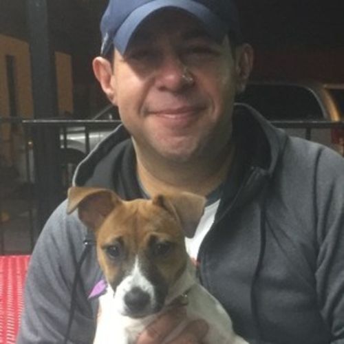 House Sitter Provider Marco Rangel's Profile Picture