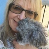 Pet Sitter