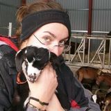 Most Flexible Pet Carer in Edmonton