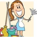 Experienced Cleaner and Caregiver