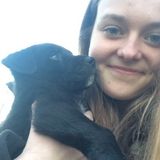 Responsible and pet-loving caregiver available!