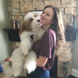Fur baby care from a professional dog lover