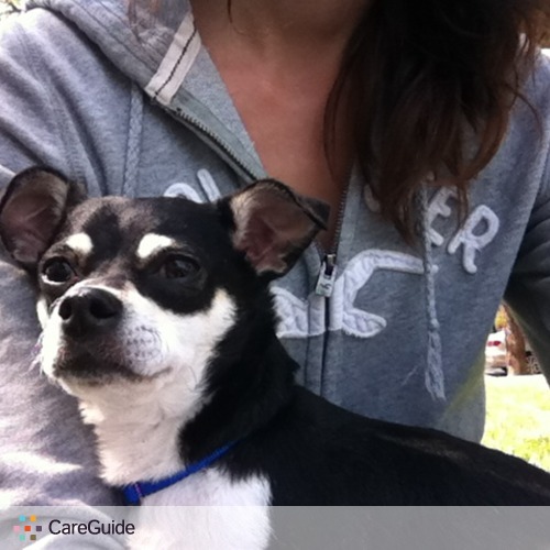 Pet Care Provider Lacey H's Profile Picture