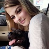 Interviewing For Fort Mill Pet Service Provider Opportunity