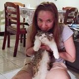 For Cats only! :) Certified Cat Lover. Cat boarding Will take care of your kitty like my own. All around Cat sitter.