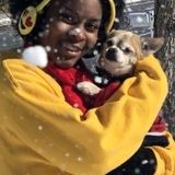 Fairburn Dog Walker and any animal pet sitter Seeking Being Hired