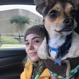 Dog Walker & Pet Sitter in Garland TX
