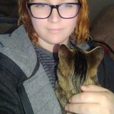 Hardworking Housesitter in Ellensburg with experience with animals.