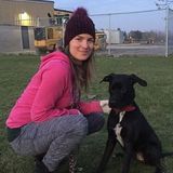 Professional and Affordable animals services in your area (Lindsay, ON)