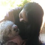 Searching for Des Plaines Pet Groomer Opportunity