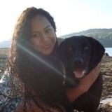 Reliable and Caring House Sitter