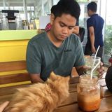 Experienced cat owner Available: Wednesday & friday for this week