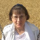 Disciplined Housesitter in Kerrville
