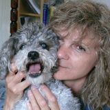 Loving and Reliable Care-giver for your House and Pet(s)