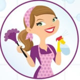 Professional Home Cleaner