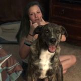 I am Sara Box, I am looking for a job in animal sitting. I love taking care of dogs and cats.