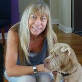 Piper's Pampered Pets, LLC is a professional, licensed, insured and bonded pet sitter and dog walker.
