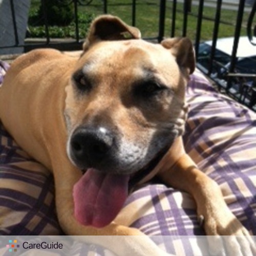 Pet Care Provider Anthony T's Profile Picture