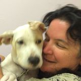 Responsible, Experienced Pet Caregiver, Boarder in Lehigh Acres, Florida