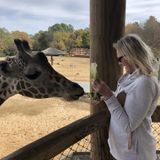 Seeking Hendersonville, Brentwood, or Nashville Home Sitter Opportunity