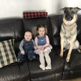 Brantford Babysitter Job