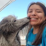 Looking for pet care job -