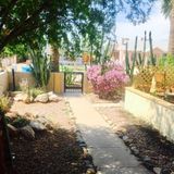 Nov 24 to Dec 3 - Central Phx