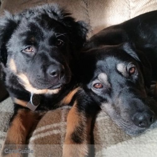 Pet Care Provider Tori B's Profile Picture