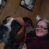 Reliable Petsitter Available Immediately