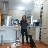Evanston House Sitter needed for December