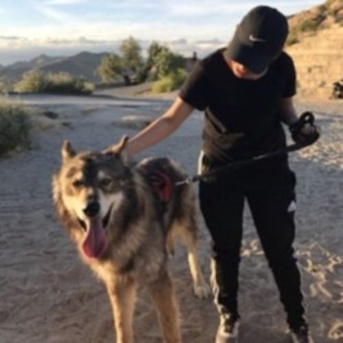 Pet Care Provider Cynthia F's Profile Picture