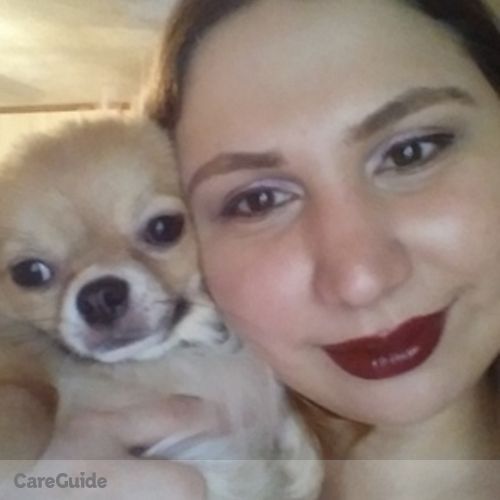 Pet Care Provider Anne A's Profile Picture