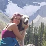 Experienced Pet Sitter available!