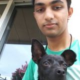 Animal lover that wants your pets to be cared for!